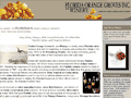 Florida Orange Groves and Winery