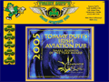 Tommy Duff's Irish Aviation Pub